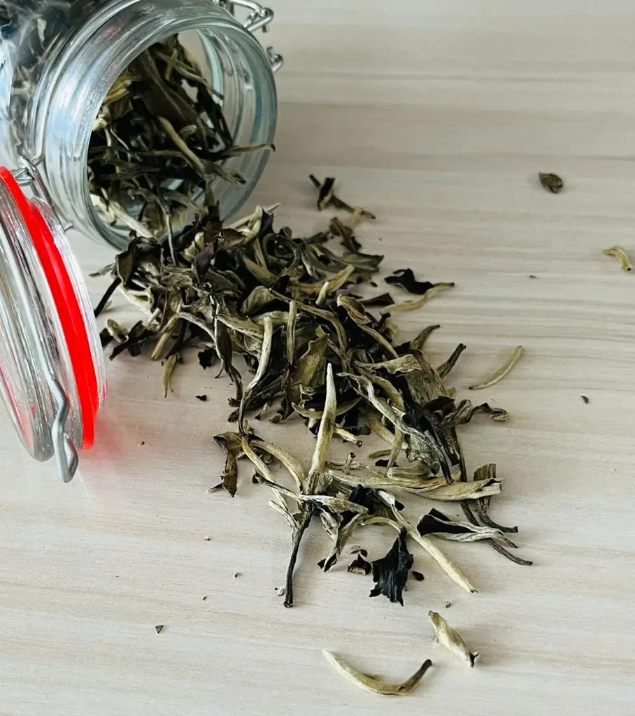 LA magia del té en hebras