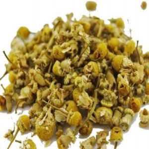 Egyptian Camomile - Manzanilla