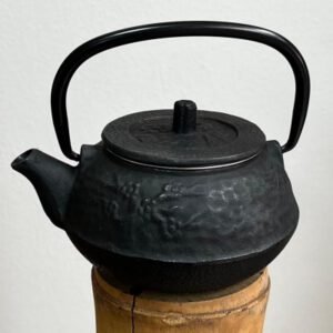 Tetera Cast Iron 1 Taza (0.3L) - Negra